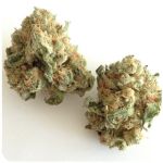 Шишки "White Widow"  (Белая вдова)  Гидропоника -  Бошка VHQ в Арамиле